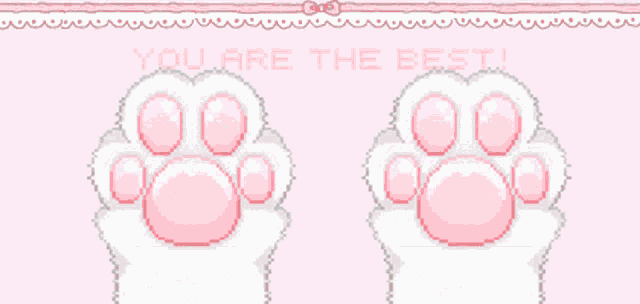 Cat Paws Paws GIF
