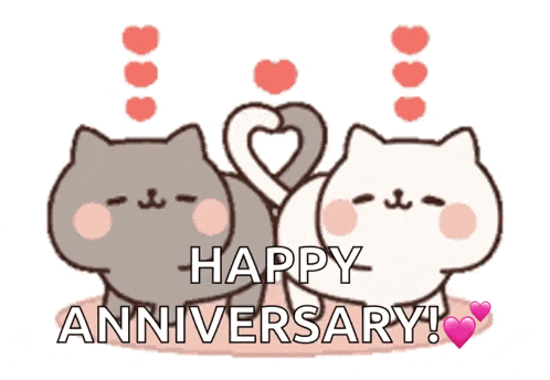 Cat GIF