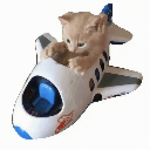 Cat Pilot GIF. This 498 x 498 animated GIF is part of our funny airplane collection. Related themes include cat. Created by pkcrory. View the original…