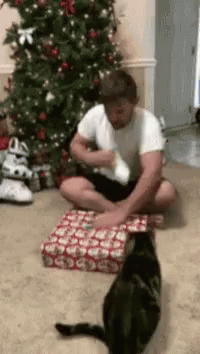Cat Ps4 GIF