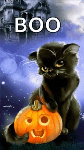 Cat Pumpkin GIF