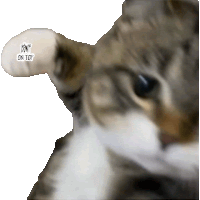 Cat Punch Funny Cat Sticker