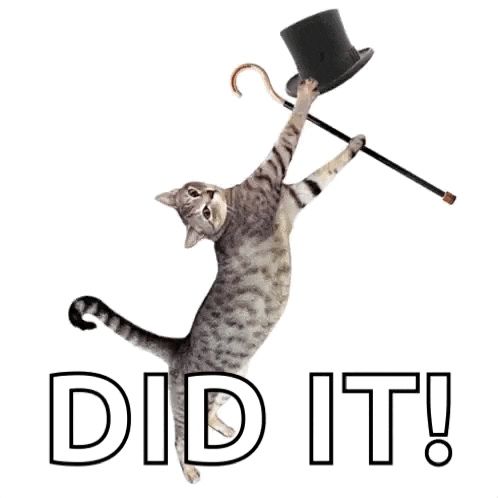 Cat GIF