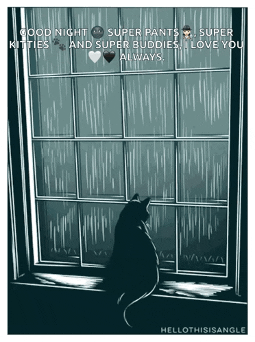 Cat Rain GIF