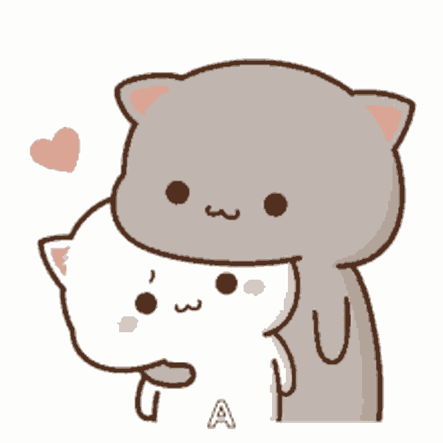 Cat GIF