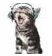 Cat Sticker