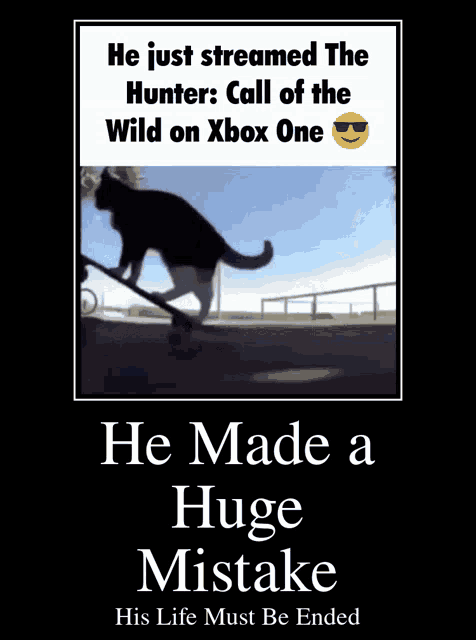 Cat Skating GIF