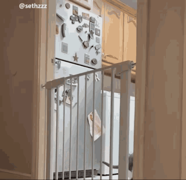Cat Slow Motion Cats GIF
