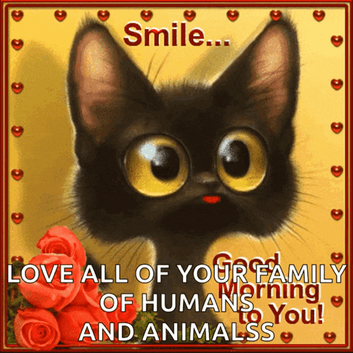 Cat Smile GIF