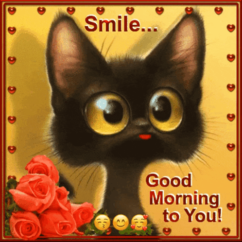 Cat Smile GIF