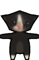 Cat Spin 3d Cat Sticker