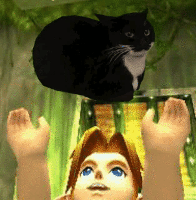 Cat Spinning Cat GIF