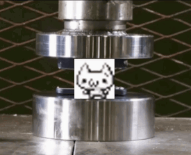 Cat Squish Hydraulic Press GIF