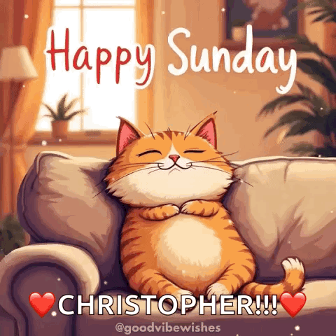 Cat Sunday GIF