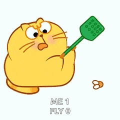 Cat Swat GIF
