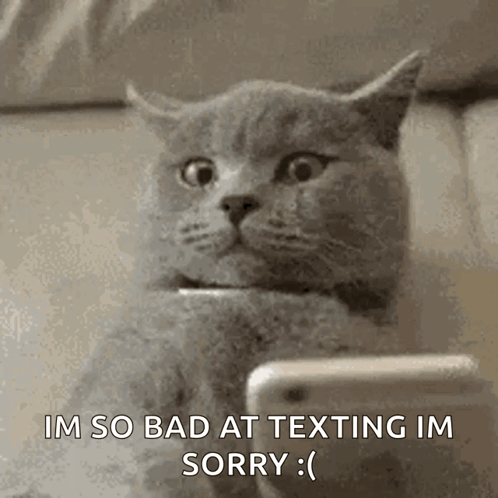 Cat Texting GIF