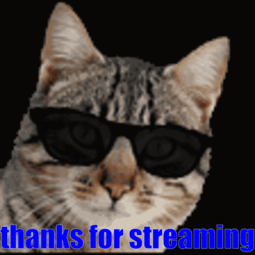 Cat Thanks GIF