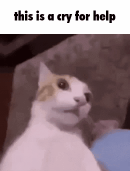 Cat This Is A Cry For Help GIF