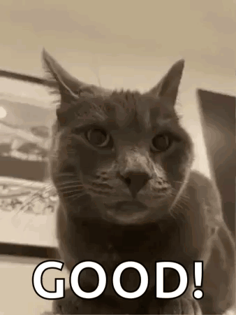 Cat Thumbs Up GIF