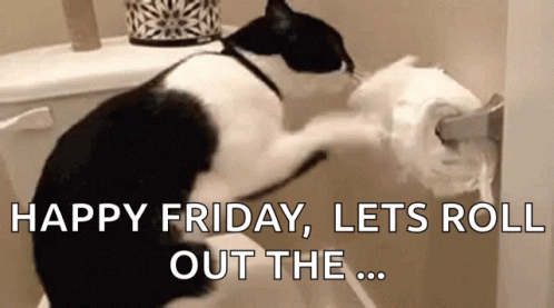 Cat Toilet Paper GIF