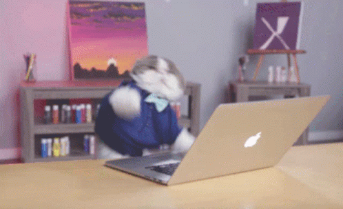 Cat Type GIF. This 498 x 303 animated GIF is part of our crazy typing collection. Related themes include busy, cat, kitten. Created by knight_moon. View the…