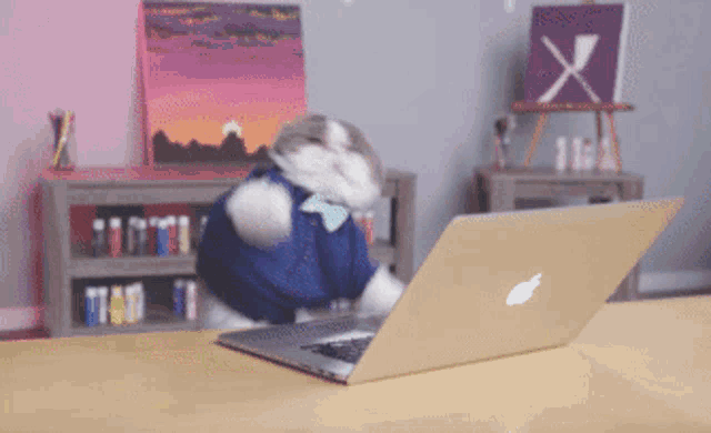 Cat Type GIF