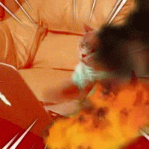 Cat Typing Cat Typing Fire GIF