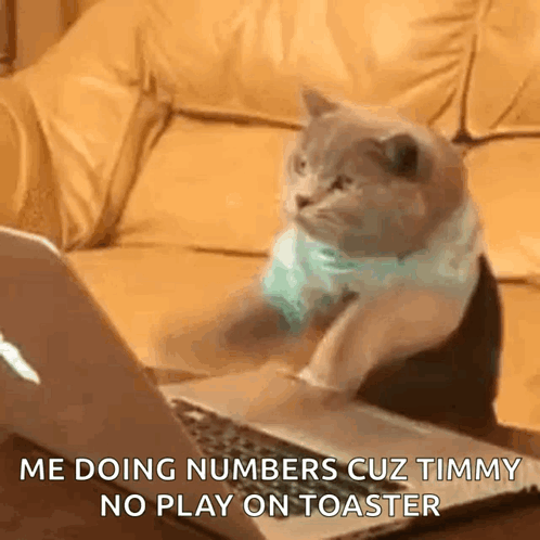Cat Typing GIF