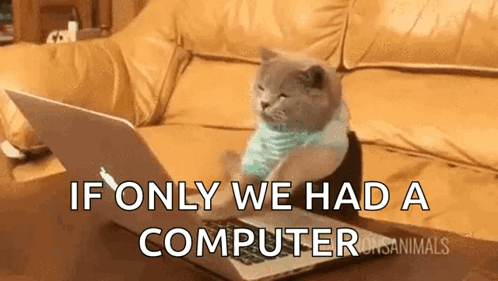 Cat Typing GIF