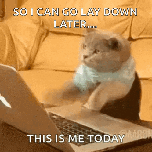 Cat Typing GIF