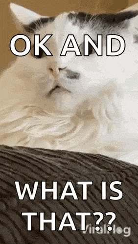 Cat Viralhog GIF