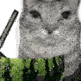 Cat Watermelon Sticker