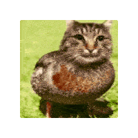 Cat Weird Sticker