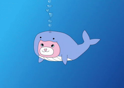 Cat Whale GIF