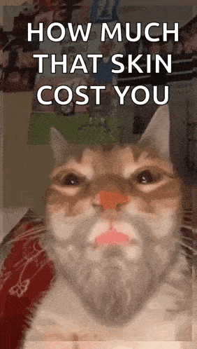 Cat What GIF