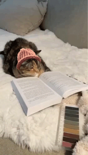 Cat Wif GIF. This 282 x 498 animated GIF is part of our terminaste los deberes collection. Related themes include book, cat, reading. Created by catwifhat…