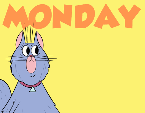 Cat Work GIF