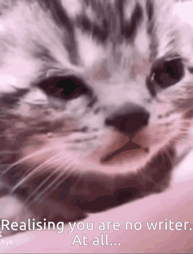 Cat Writer GIF