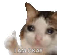 Cat Sticker