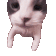 Cat Sticker