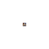 Cat Zoom Sticker