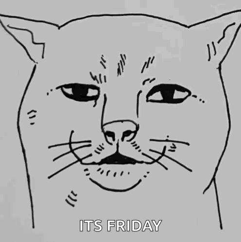 Cat Zoom GIF