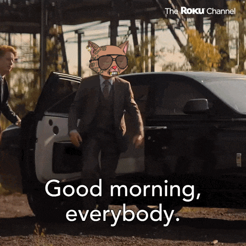 Catcartel Cat Cartel GIF
