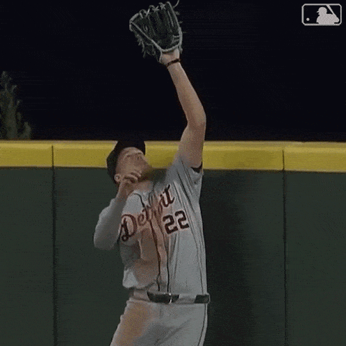Catching The Ball Major League Baseball GIF