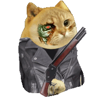Catcoin Crypto Sticker