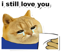 Catcoin Crypto Sticker