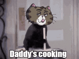 Catf Solana GIF