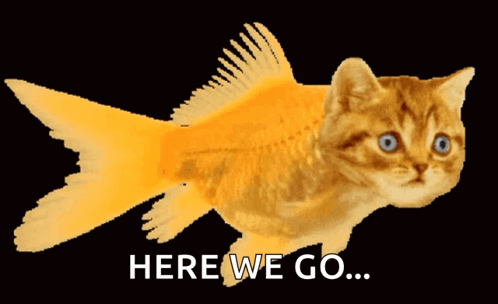 Catfish Fishing GIF