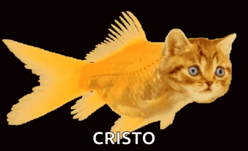 Catfish Fishing GIF