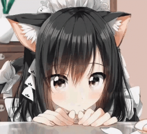 Catgirl Kawaii GIF